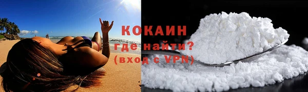 тгк Богородицк