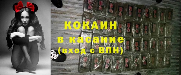 тгк Богородицк