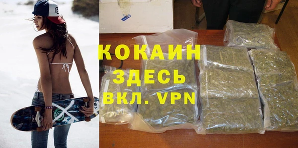 тгк Богородицк