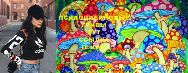 эйфоретик Богородск