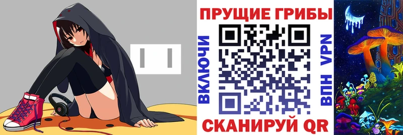 Псилоцибиновые грибы мицелий  купить наркотики сайты  Коркино 