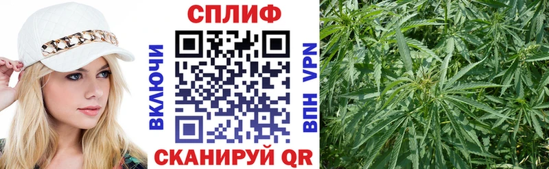 купить наркотики сайты  Коркино  hydra ссылки  Бошки Шишки марихуана 